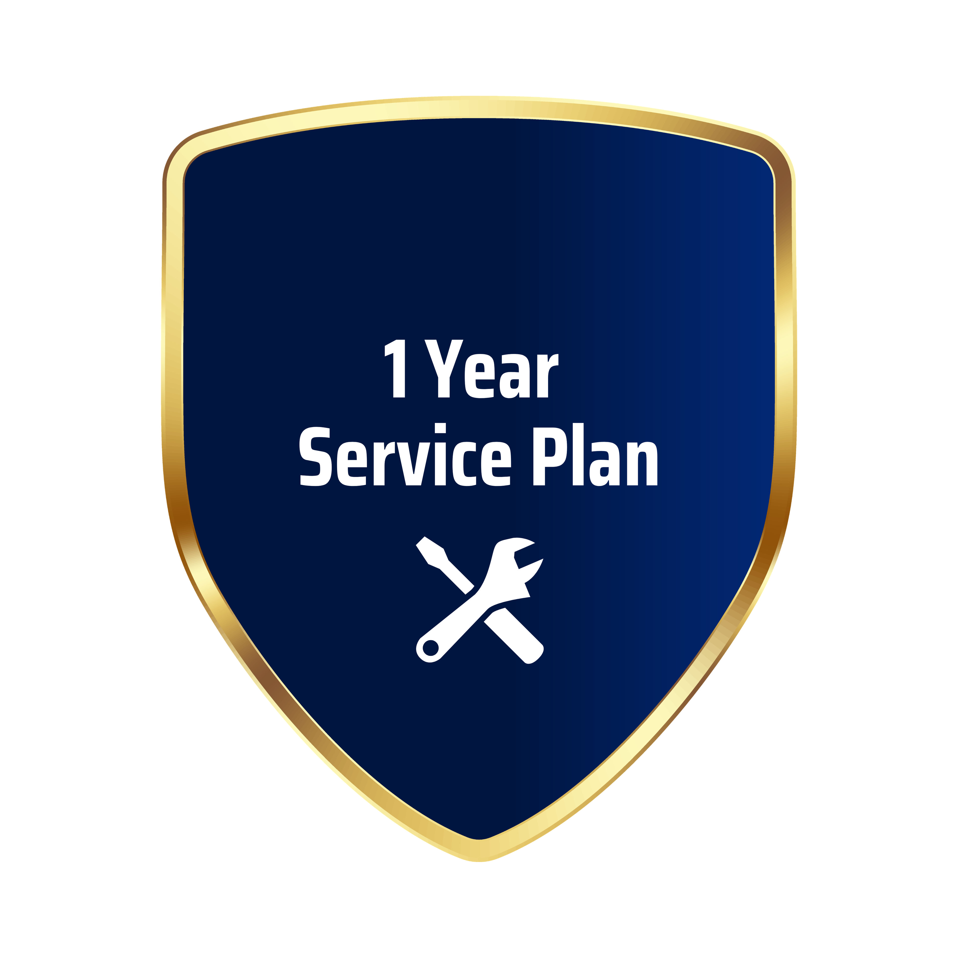 1-Year Service Plan